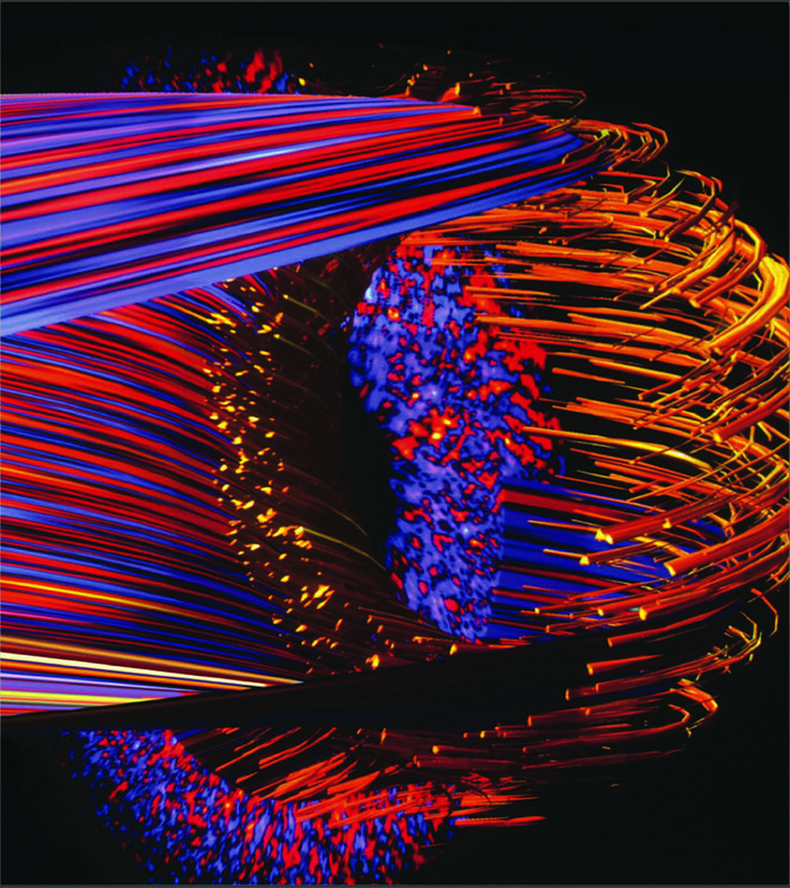 PI: William M. Tang, Princeton Plasma Physics Laboratory; Stephane Ethier, Princeton Plasma Physics Laboratory Three-dimensional structure of plasma microturbulence in a toroidal fusion device as calculated with a global gyrokinetic particle code developed at the Princeton Plasma Physics Laboratory.